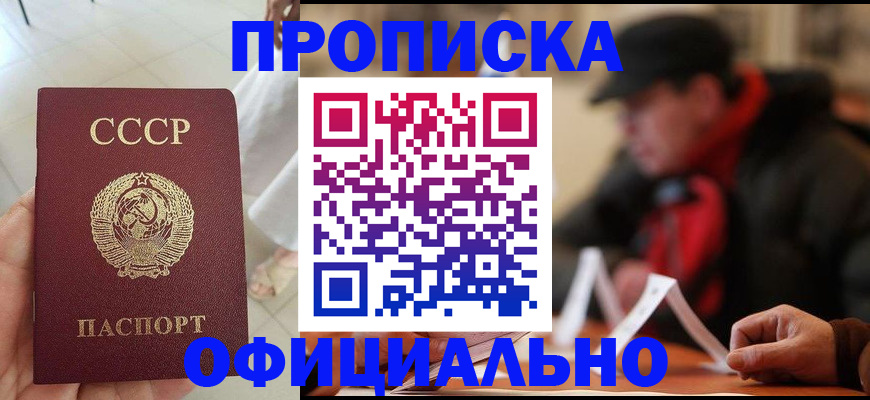временная регистрация для школы в Шарыпово